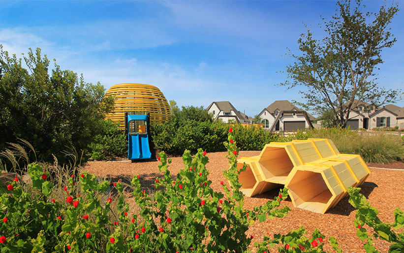 Outdoor Play Area