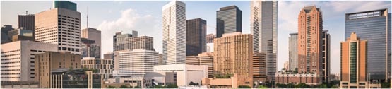 New construction homes near Texas Medical Center & Downtown Houston